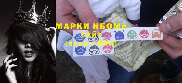 крисы Бородино