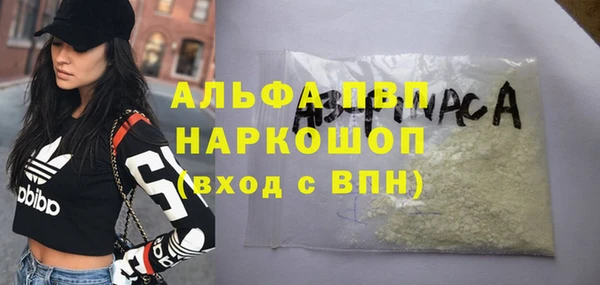 крисы Бородино