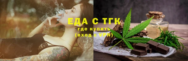 крисы Бородино