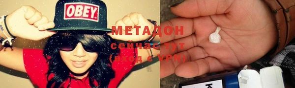 крисы Бородино