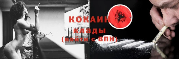 крисы Бородино