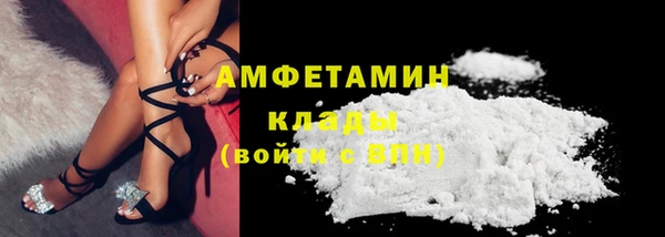 крисы Бородино
