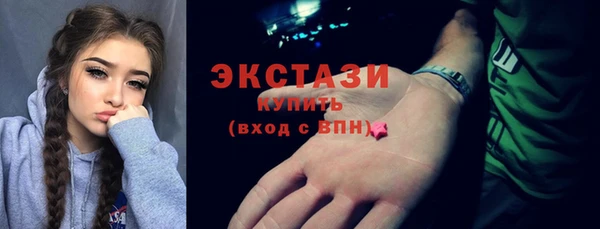 крисы Бородино