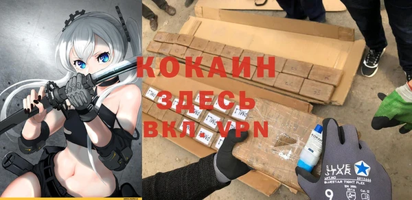 крисы Бородино