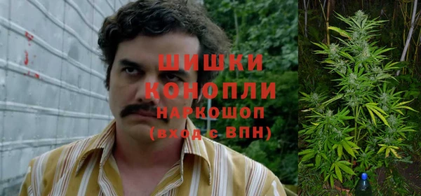 крисы Бородино