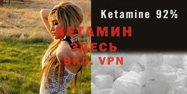 крисы Бородино