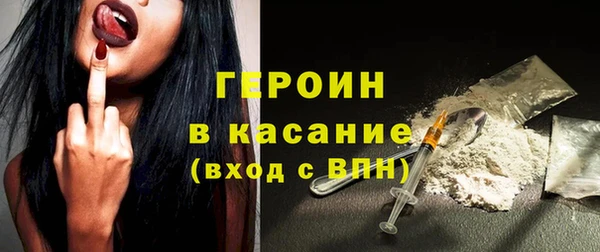 крисы Бородино